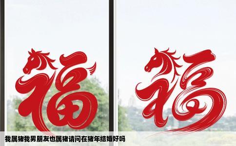 我属猪我男朋友也属猪请问在猪年结婚好吗