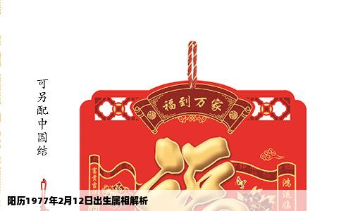 阳历1977年2月12日出生属相解析