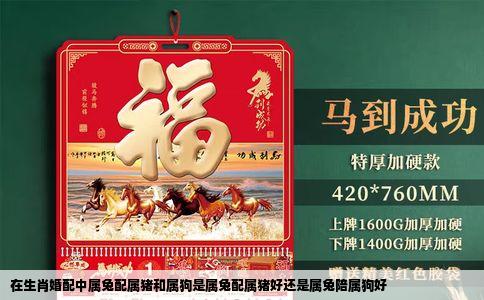 在生肖婚配中属兔配属猪和属狗是属兔配属猪好还是属兔陪属狗好